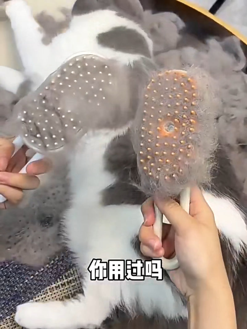 UPGRADE Pet Steam Brush Dogs Cat Hair Brush Dog Hair Brush Electric Brush USB